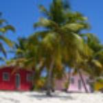 Reviews from the guests of Pano Kato cafe in Dimitsana